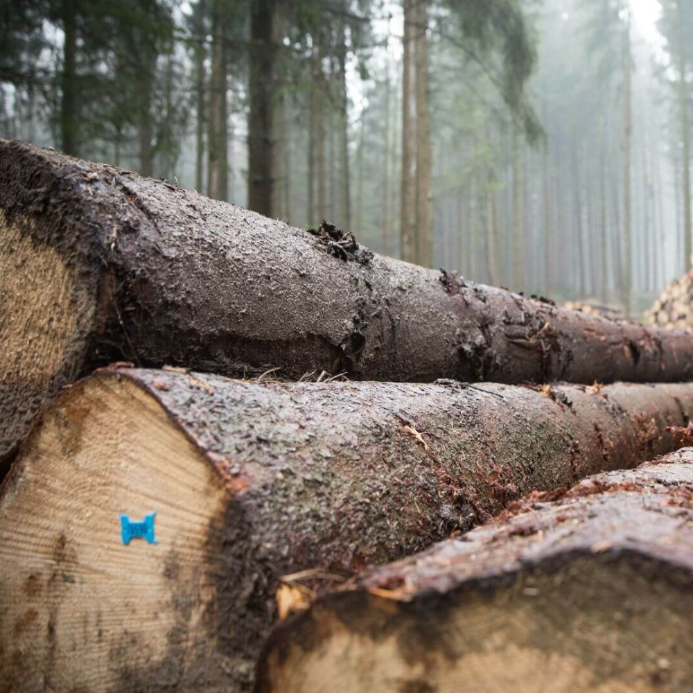 Naskládané palivové dřevo