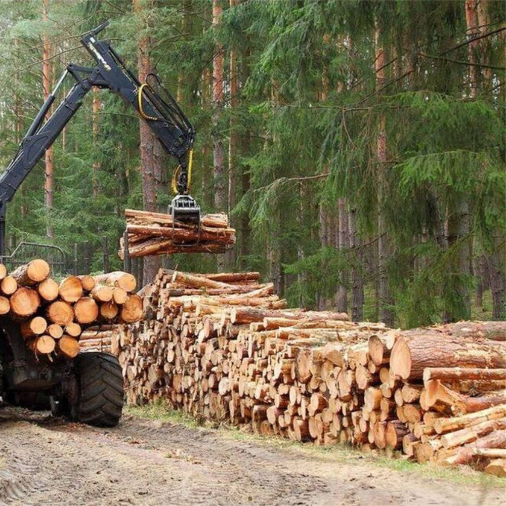 Kvalitní štípané dřevo